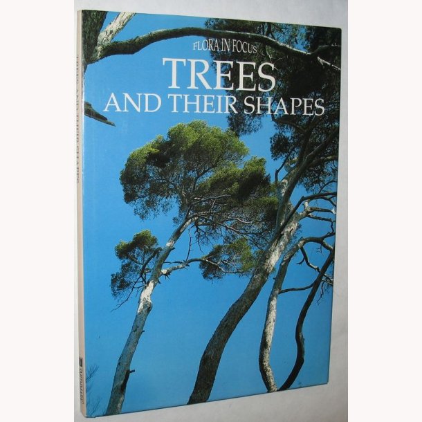 Trees And Their Shapes