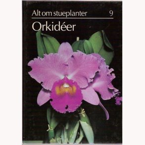 Alt om stueplanter 9 Orkidéer