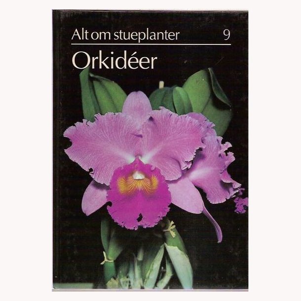 Alt om stueplanter 9 Orkid&eacute;er
