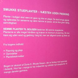 Nemme planter til boligen