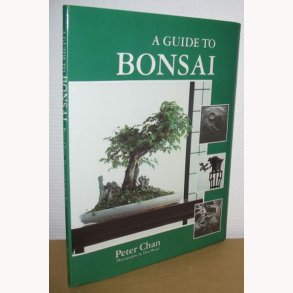 A guide to Bonsai