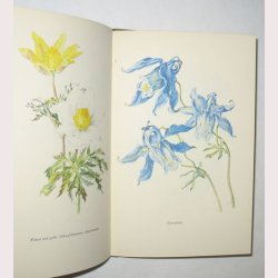 Die Sch&ouml;nsten Bergblumen