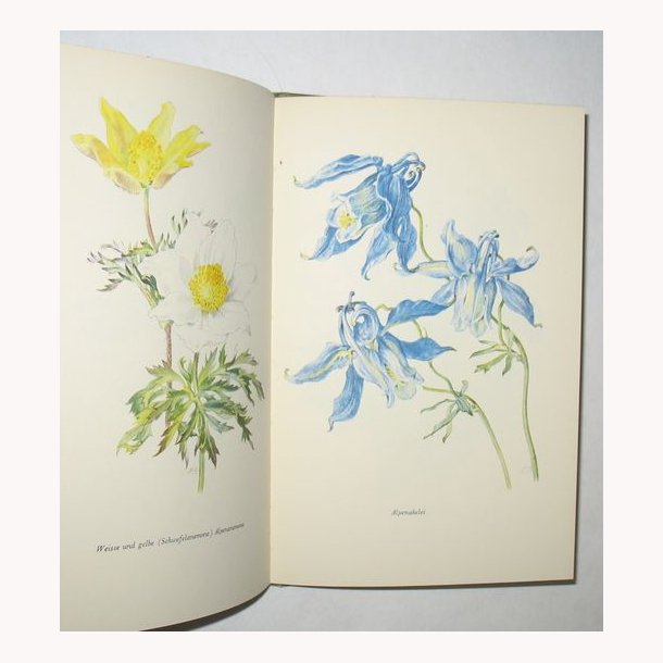 Die Sch&ouml;nsten Bergblumen