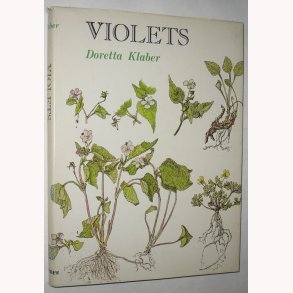 Violets of the United States