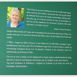 Phlox - bogen om floks til haven