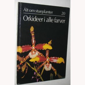 Alt om stueplanter 20 - orkideer i alle farver