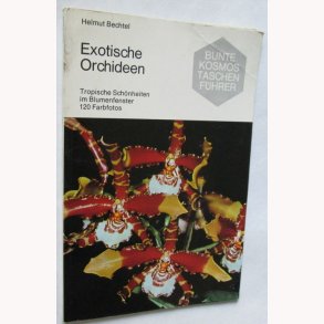 Exotische Orchideen
