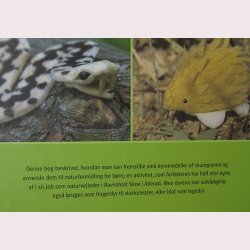 Skumdyr: Bjrli Martha Lehrmann