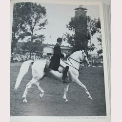 Ein Leben f&uuml;r die Lipizzaner.