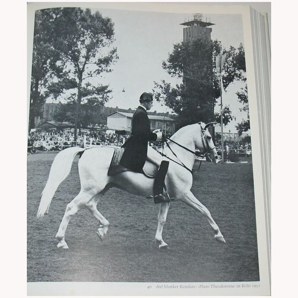 Ein Leben f&uuml;r die Lipizzaner.