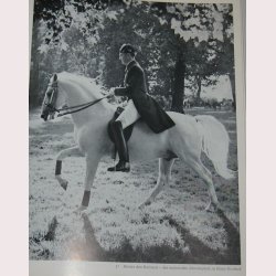 Ein Leben f&uuml;r die Lipizzaner.