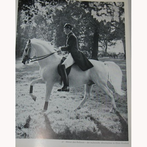 Ein Leben f&uuml;r die Lipizzaner.