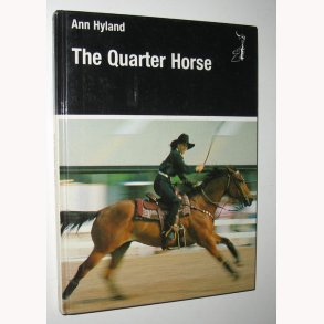 The Quarter Horse