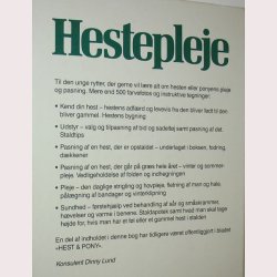 Hestepleje