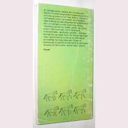 Ridning for begyndere