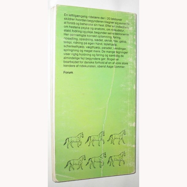 Ridning for begyndere