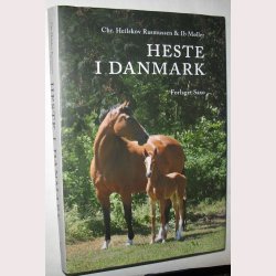 Heste i Danmark