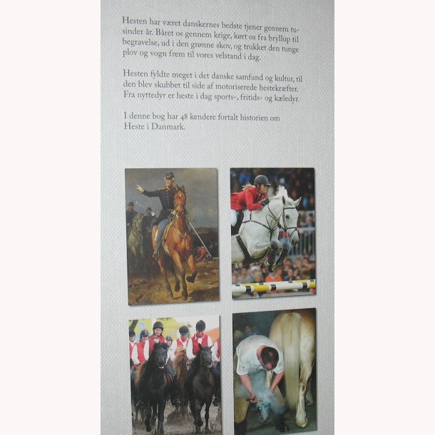 Heste i Danmark