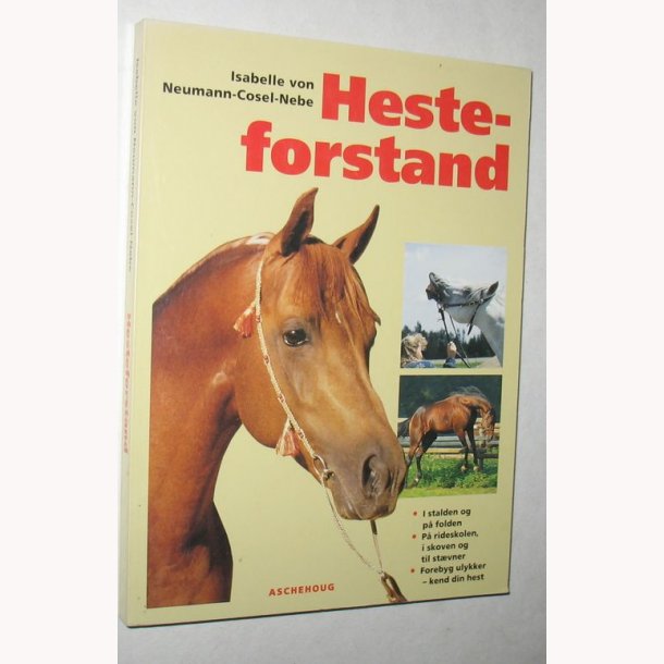 Hesteforstand
