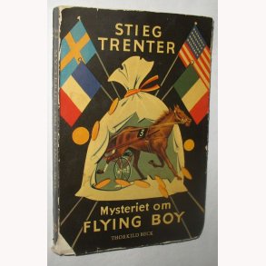 Mysteriet om Flying Boy