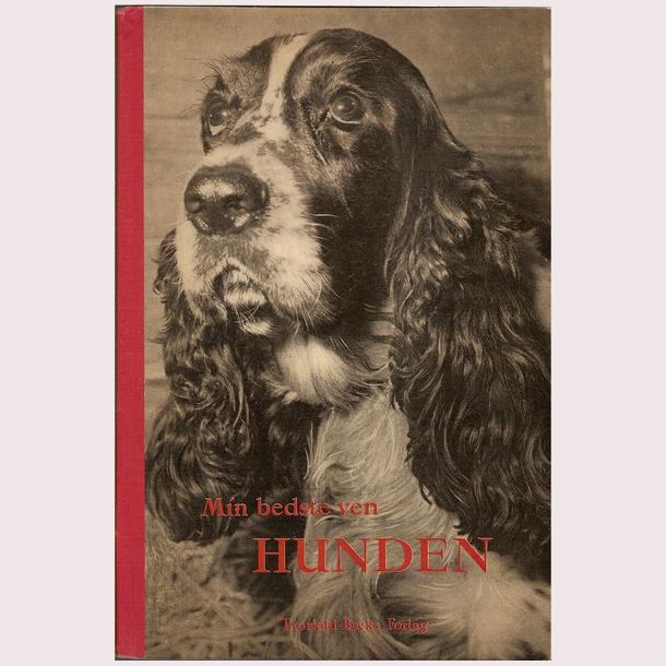 Min bedste ven hunden