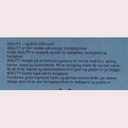 Agility - ogs for din hund