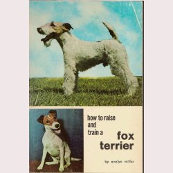 How to raise and train a foxterrier