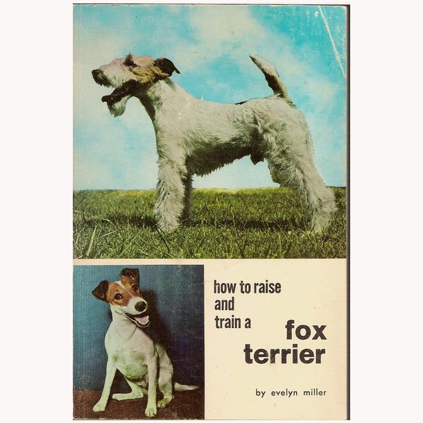 How to raise and train a foxterrier
