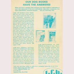 How to raise and train a foxterrier