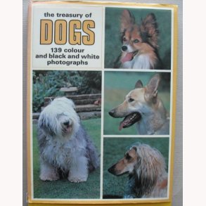 The treasure of Dogs