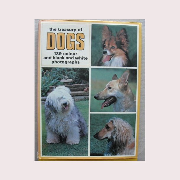 The treasure of Dogs