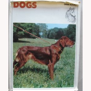 Dogs Champions of Pedigree