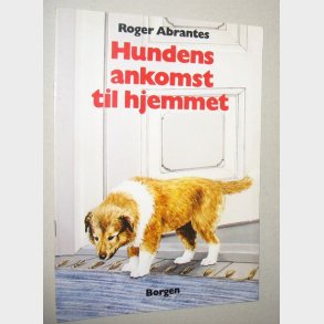 Hundens ankomst til hjemmet: Roger Abrantes