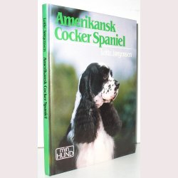 Amerikansk Cocker Spaniel