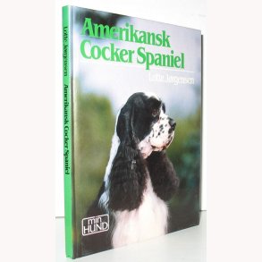 Amerikansk Cocker Spaniel