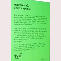 Amerikansk Cocker Spaniel