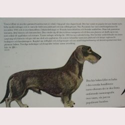 Taxen en rasmonografi