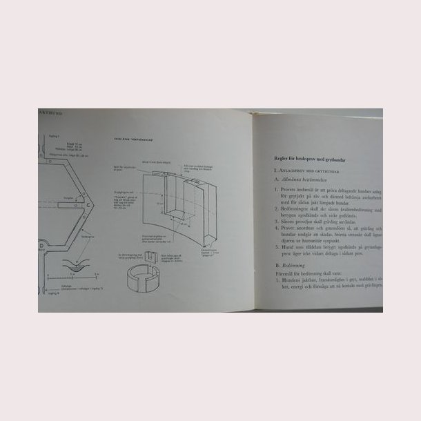 Taxen en rasmonografi