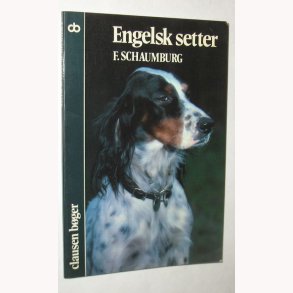Engelsk setter