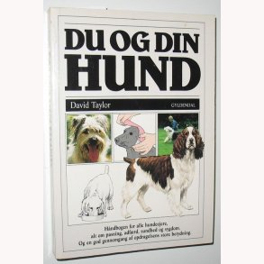 Du og din hund