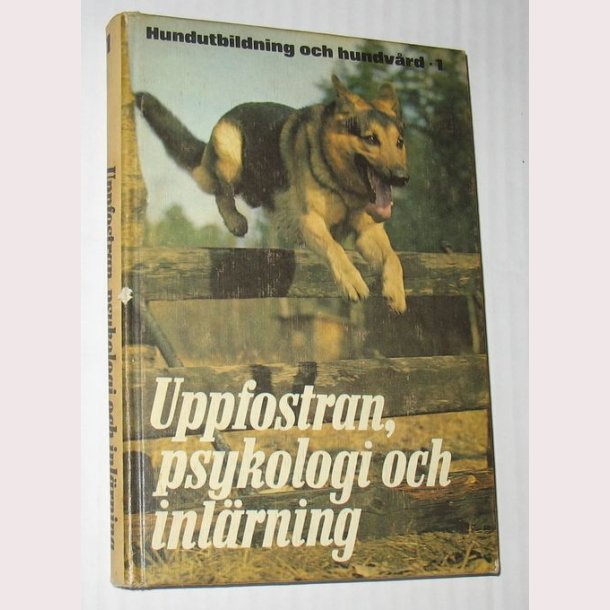 Uppfostran, psykologi och indl&auml;rning