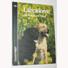 Labradoren