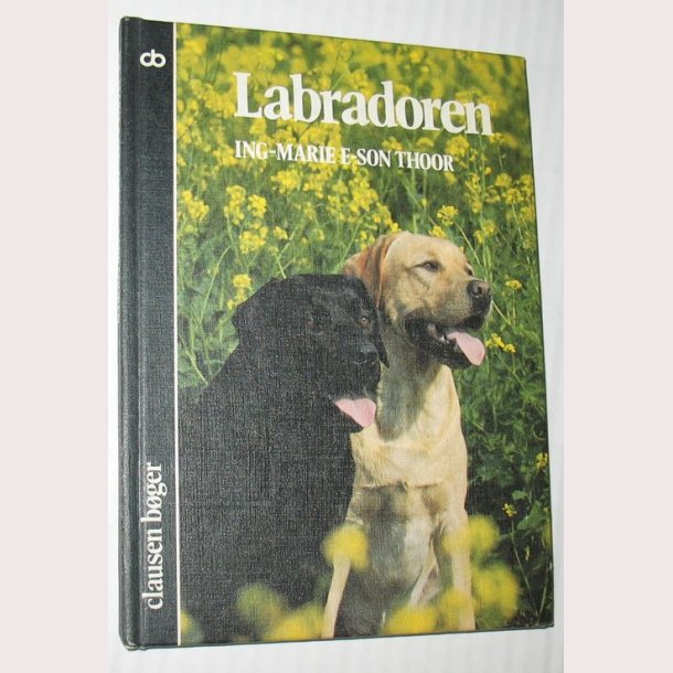 Labradoren
