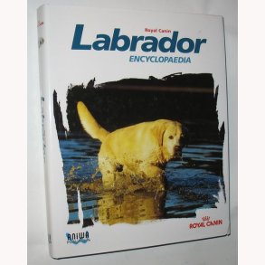 Labrador - Encylopaedia