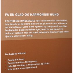 Politikens hundeskole