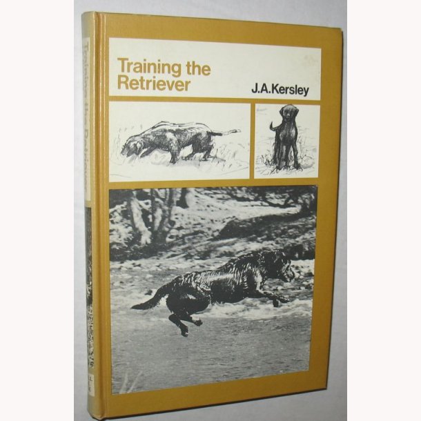 Training the Retriever