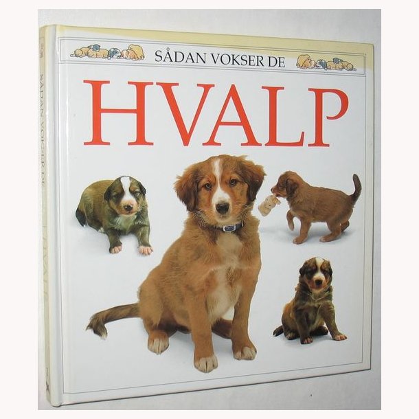 Hvalpe