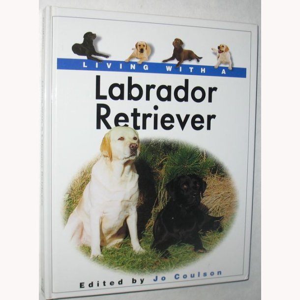 Living With a Labrador Retriever