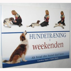 Hundetrning i weekenden