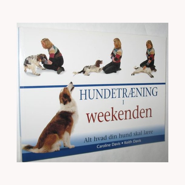 Hundetrning i weekenden